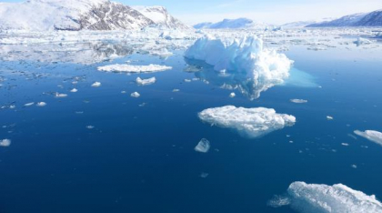 Meteorolog norvegian: „Gheața arctică se topește, urșii polari dispar&amp;quot;