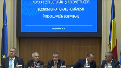 Mihai Daraban: Mediul de afaceri nu ar trebui provocat de decidentul politic