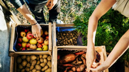 Propunerea Comisiei Europene pentru sprijinirea agriculturii din UE: în școli, doar alimente produse în Europa
