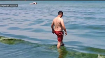 Invazie de alge pe litoral. Turiștii se plâng că nu pot intra în apă: „E ceva de nedescris. Mă întorc acasă”
