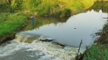 Guvernul adoptă măsuri de sprijin pentru populaţia afectată de contaminarea râului Târnava Mică