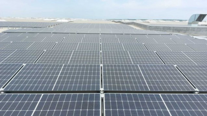 Bursă. Simtel Team a raportat venituri de 80 mil. lei în primul trimestru din 2025, în creştere cu 71% faţă de T1/2024. Profit net de 5,4 mil. lei, plus 14%