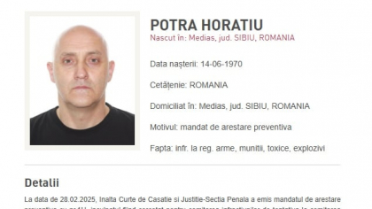 Încă o lună de arest pentru mercenarii lui Potra / Liderul grupării este de negăsit