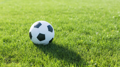 Evaziune la Federația Germană de Fotbal. Bani negri pentru organizarea Cupei Mondiale din 2006