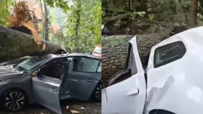 Noi imagini după prăpădul din Sinaia: mașini făcute praf de copacii puși la pământ de furtună, lângă Castelul Peleș