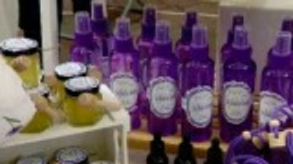 Iași a găzduit Festivalul Lavandei. Produse artizanale, deserturi parfumate și ateliere pentru copii