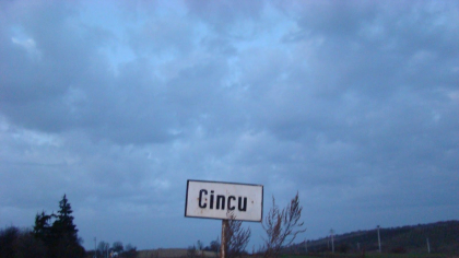 Exerciţiul militar în poligonul Cincu
