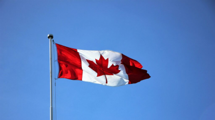 Canada impune restricţii de circulaţie pe ocean pentru a proteja o balenă pe cale de dispariţie
