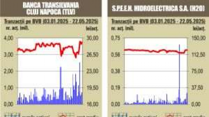 PIATA VALUTARA Aprecieri pentru indici, pe fondul unui rulaj sub media anului
