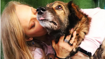 ”Un câine  a intrat în viața mea acum 18 ani și  nu a mai ieșit niciodată”. Povestea femeii care s-a dedicat medicinii veterinare sociale