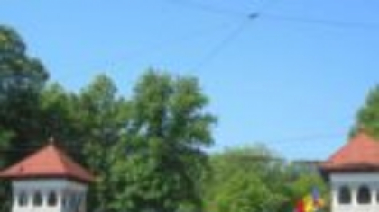 Care dintre candidați va organiza o mare petrecere la Cotroceni după alegerile prezidențiale