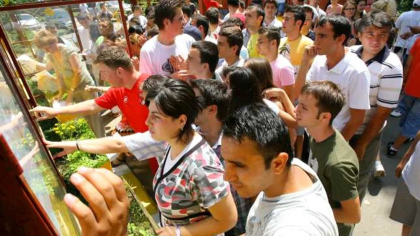 Bacalaureat 2025:  Modele de subiecte la matematică