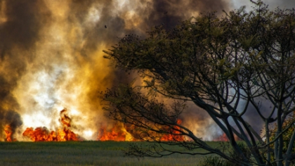Incendiul izbucnit în zona Pianu - Săsciori - Șugag, județul Alba, a fost lichidat