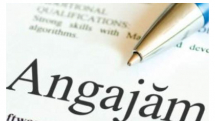 Jobul de vară care îți aduce un salariu de 3500 de lei pe lună. Ce trebuie să faci