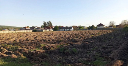 A plantat porumb pe terenul de fotbal, iar acum va suporta consecințele. Caz incredibil în județul Argeș