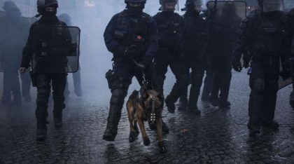 Câine polițist italian, ucis cu cârnați umpluți cu cuie, în semn de răzbunare