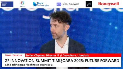 Ştefan Cârpanu, Lipoplast: În IT deseori lipseşte o viziune de ansamblu asupra modului în care trebuie alocate resursele. Inovaţia înseamnă o schimbare de de paradigmă, ceva spectaculos
