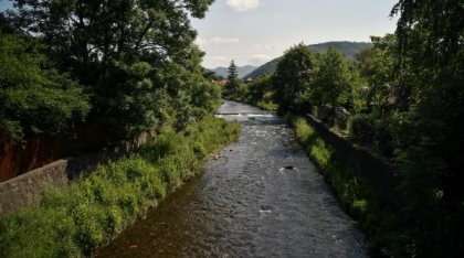 "Ecosistemul de pe Târnava Mică este practic distrus. Nu mai mişcă nimic". Şi-ar putea reveni tocmai peste 10 ani