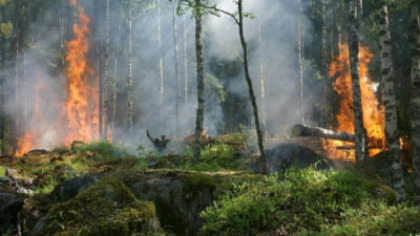 Fenomenul care a lovit catastrofal Europa: Pagube colosale de 43 de miliarde și în țări cu mulți români