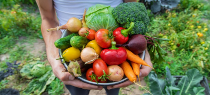Ce legume trebuie să plantezi în luna august. Vei avea anul viitor o recoltă bogată și sănătoasă