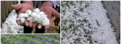 Ne așteaptă grindină și vijelii în 16 județe