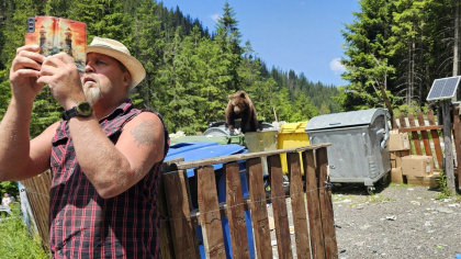 Urșii, stăpânii tomberoanelor pe Transfăgărășan: „Sunt deja atât de isteți încât blochează drumul”