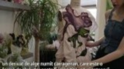 Haine din porumb și alge, alternativa „verde” la fast fashion: „Acești oameni sunt pe cale să descopere ceva important”
