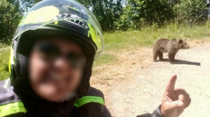 Italianul ucis de urs pe Transfăgărășan a fotografiat animalul chiar și în momentul în care îl ataca