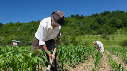 Foștilor agricultori le-a venit rândul la recalculare: după 30 de ani de muncă primesc pensii de subzistență