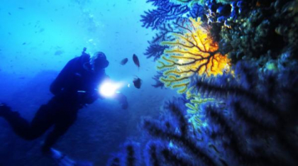 Comoara de la 500 de metri adâncime: un submarin a descoperit, în Golful Napoli, o bogăţie naturală nepreţuită