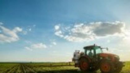 O nouă schemă de ajutor pentru agricultori. Fermierii pot primi până la 50.000 de euro printr-un program de stat