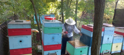 Corteva Agriscience sprijină câștigătoarea TalentA să creeze un „Bee Paradise” pentru o agricultură durabilă