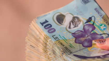 Prime necuvenite de 216,5 milioane de lei la Romsilva. Curtea de Conturi a făcut sesizare penală. Ce alte nereguli a mai descoperit