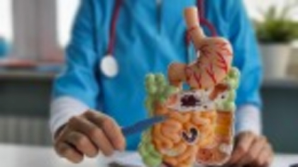 Cum ne ajută sistemul imunitar exercițiile fizice, în special cele de forță, să luptăm împotriva bacteriilor intestinale