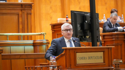 Ape tulburi în PNL. Ce-l nemulțumește pe Florin Roman?