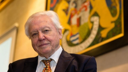 David Attenborough, unul dintre cei mai iubiți naturaliști, avertisment la aproape 100 de ani: „Doar dacă salvăm oceanele, ne salvăm planeta”