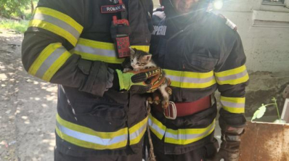 Pisoi căzut într-o fântână de patru metri, salvat de pompieri