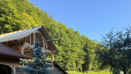Pe ulițele Gărdiștei de Munte, se vorbește-n „limba” artei (foto)