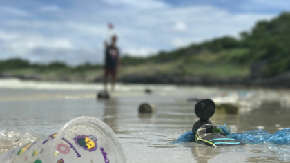 Studiu. Interzicerea și taxarea pungilor de plastic reduc deșeurile de pe țărmurile SUA
