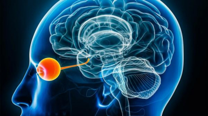 BrainGate2, noua interfață care ajută pacienții cu SLA să vorbească aproape în timp real