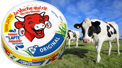 Ce ingrediente conține brânza topită „La Vache qui rit”. Cât de sănătoastă este, de fapt, brânzica preferată a copiilor