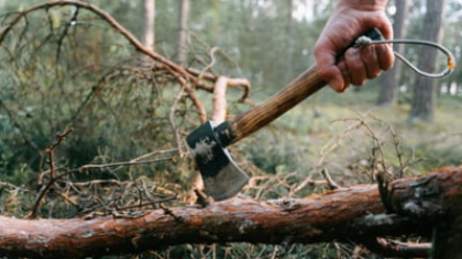 Un fost europarlamentar amenință cu plângerea penală după tăierile din Parcul Herăstrău: ”Nu e doar o crimă împotriva naturii”