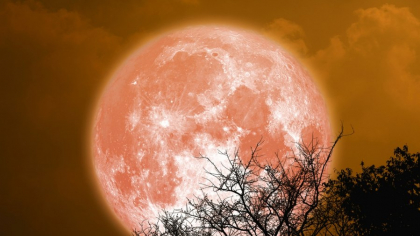 De ce este specială Luna Plină din 10 iulie, numită și „Luna Cerbului”. Ce este bine să faci în această perioadă