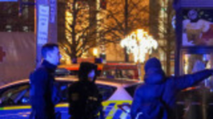 Mai multe persoane, printre care un român, prinse în Germania după ce au furat roți de Audi și Porsche. Prejudiciu uriaș
