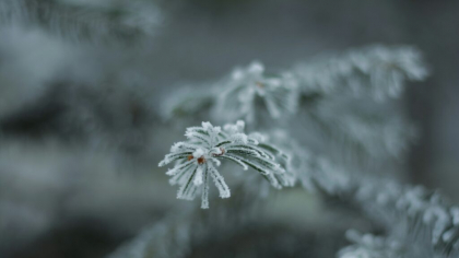 Minus 2 degrees Celsius towards the end of the week – radical change in temperature