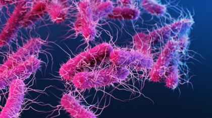 Superbacteriile rezistente la antibiotic vor ucide milioane până în 2050