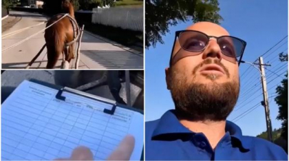 Momentul în care un instructor începe să dea lecții de condus căruța. Elevul său venise cu calul în loc de mașină: „Nu accelerăm, da?”