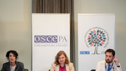 AEP: Observatorii internaționali spun că alegerile s-au desfășurat într-un climat de corectitudine