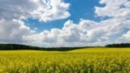Cum va fi vremea la începutul lunii iunie. Prognoza meteo pentru următoarele patru săptămâni