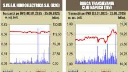 BVB Scaderi pe linie pentru indici